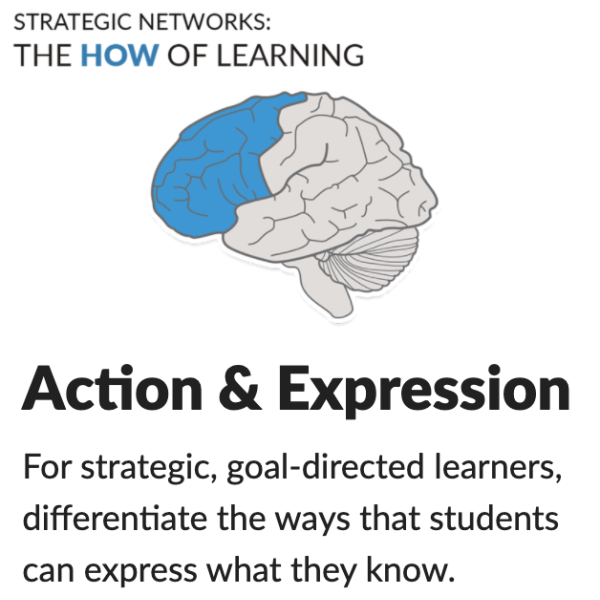 Action & Expression For strategic, goal-directed learners, differentiate the ways that students can express what they know.